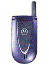 Best available price of Motorola V66i in Koreasouth